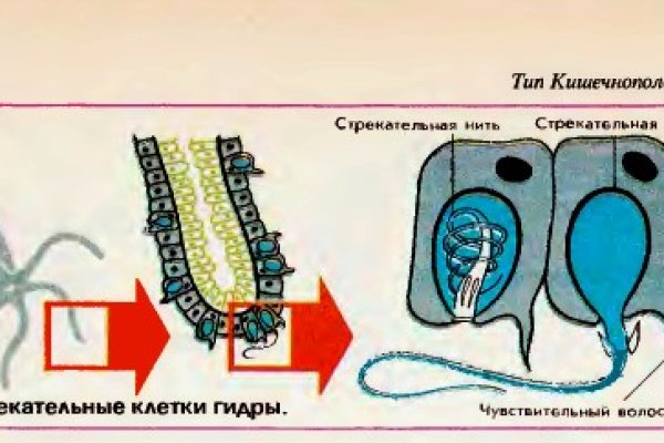 Где найти рабочую ссылку кракен