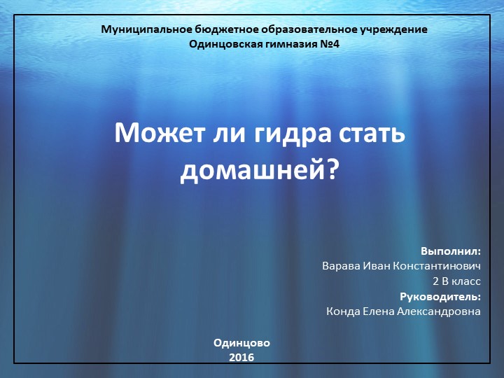 Кракен шоп krakenweb site